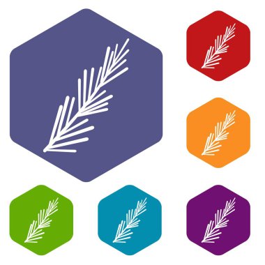 Altıgen biberiye baharat Icons set