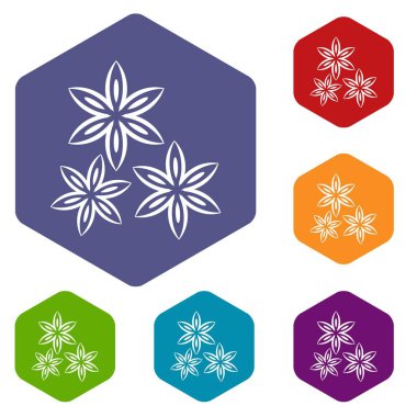 Altıgen Yıldız anason Icons set