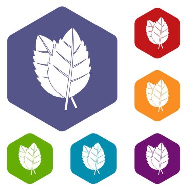 Simgeler kümesi altıgen iki fesleğen yaprağı