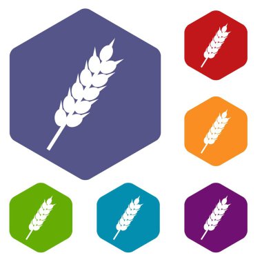 Kurutulmuş buğday kulak simgeler kümesi altıgen