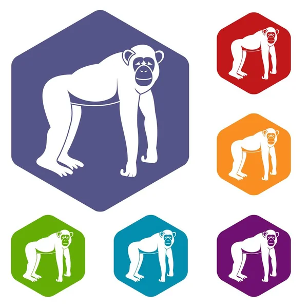 Conjunto de iconos chimpancé hexágono — Vector de stock