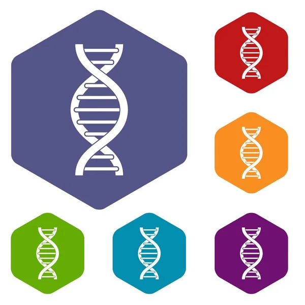 DNA spiral icons set hexagon — Stock Vector