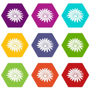 9 vektör Gerber çiçek Icons set