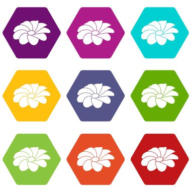 9 vektör parlak çiçek Icons set