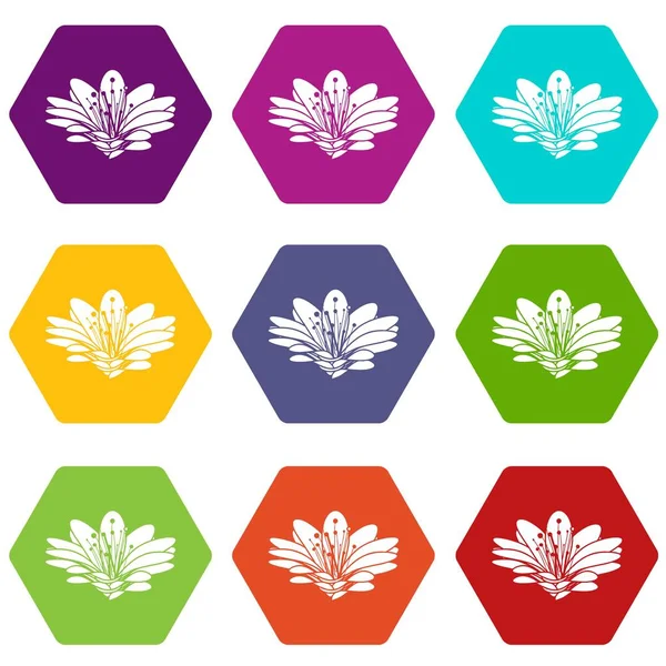 Blume Symbole Set 9 Vektor — Stockvektor