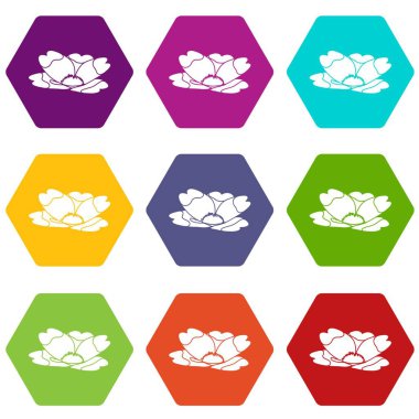 9 vektör yaz çiçek Icons set