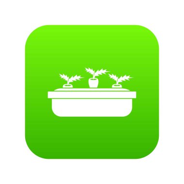 Havuç ahşap pot simgesi dijital yeşil