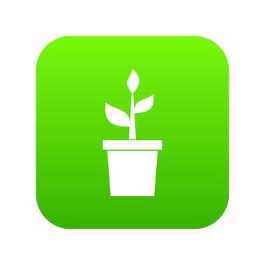 Kil pot simgesi dijital yeşil bitki