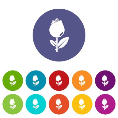 Lale simgeler vektör renk ayarla