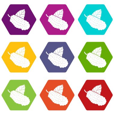 9 vektör dut Icons set