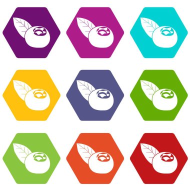 9 vektör kızılcık Icons set