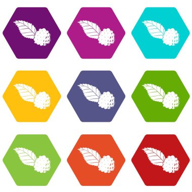 9 vektör BlackBerry Icons set