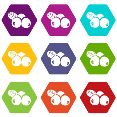 9 vektör İsveç kirazı Icons set