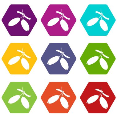 9 vektör kızamık Icons set