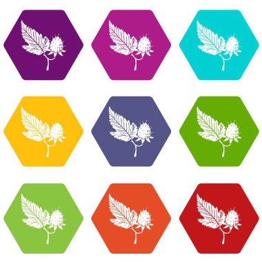 9 vektör ahududu Icons set