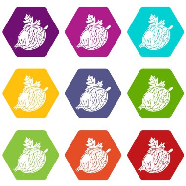 9 vektör Bektaşi üzümü Icons set