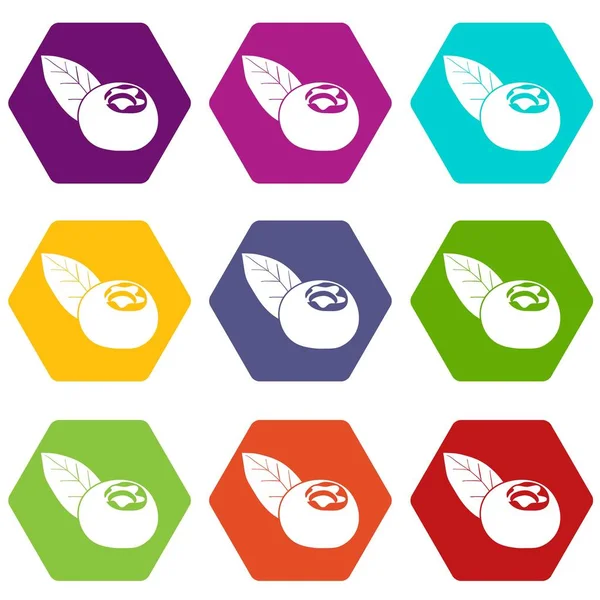 9 vektör kızılcık Icons set