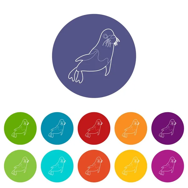Fur seal icons set vector color — Stock Vector
