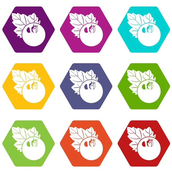 9 vektör frenk üzümü Icons set