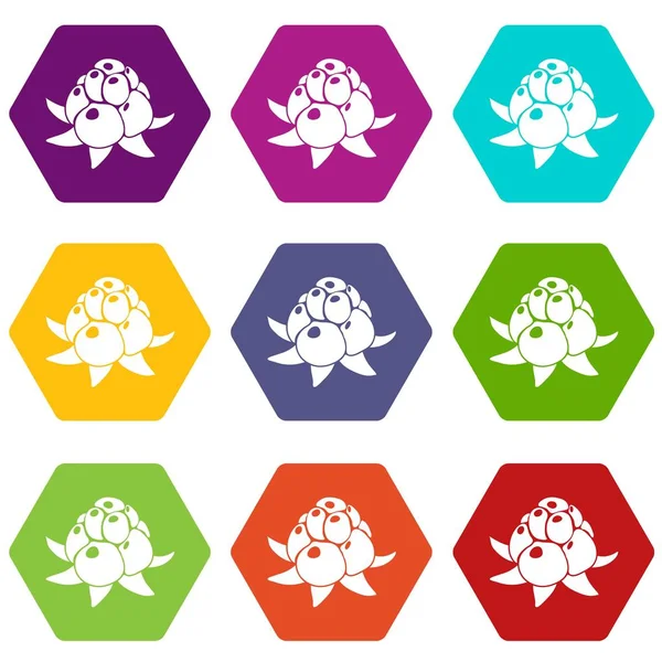 9 vektör yabani ahududu Icons set