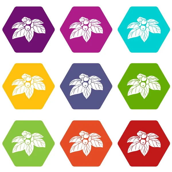 9 vektör whortleberries Icons set