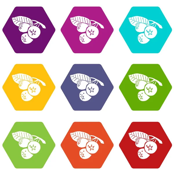 9 vektör yaban mersini Icons set