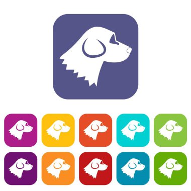 Beagle köpek Icons set