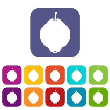 Ayva meyve Icons set