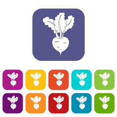 Taze pancar Icons set