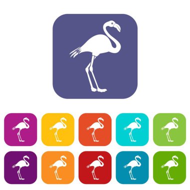 Flamingo Icons set