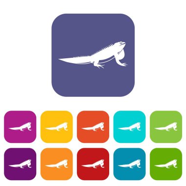 İguana Icons set