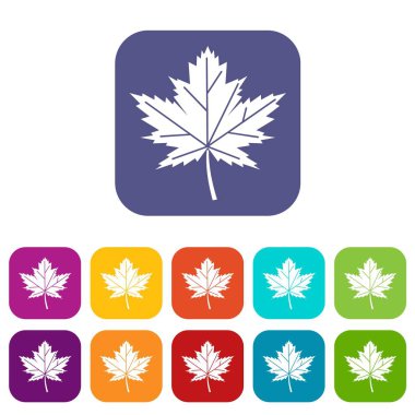 Akçaağaç yaprağı Icons set