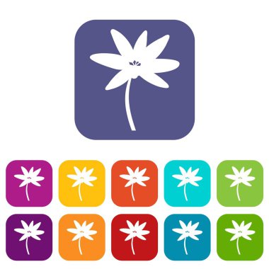 Tropikal palmiye ağacı Icons set