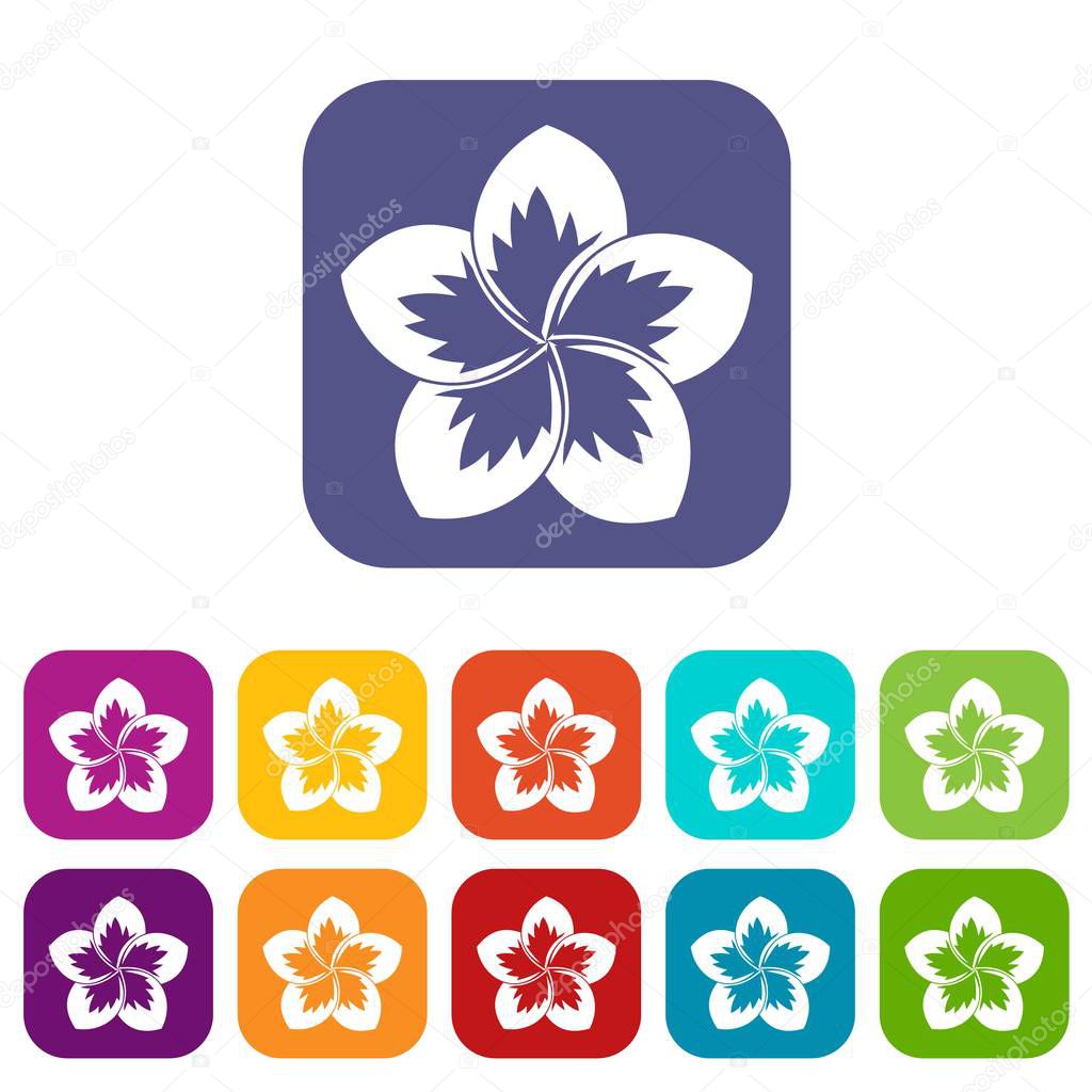 Frangipani flower icons set
