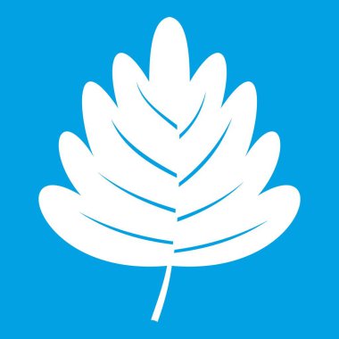 Alıç yaprağı simgesi beyaz