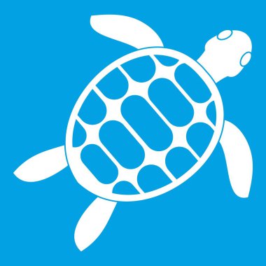 Kaplumbağa simgesi Beyaz