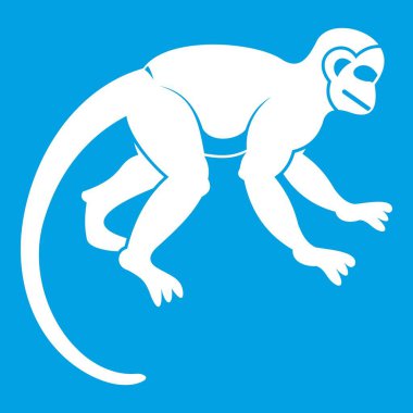 Capuchin maymun simgesi beyaz