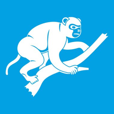 Maymun bir ağaç simgesiyle beyaz tırmanıyor