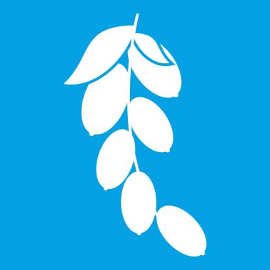 Şube cornel veya kızılcık simgesi beyaz çilek