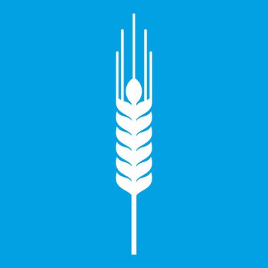 Olgun arpa simgesi beyaz SAP