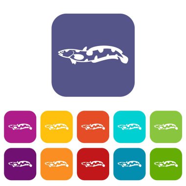 Anarhichas balık Icons set