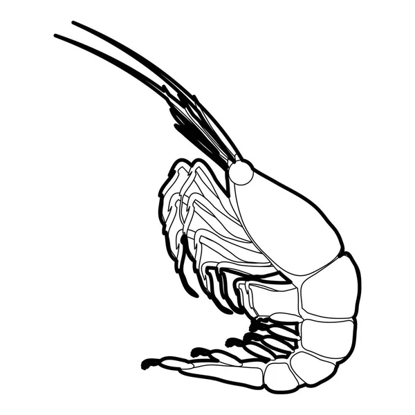 Shrimp-Symbolumriss — Stockvektor