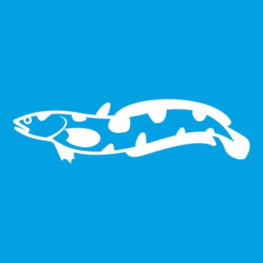 Anarhichas balık simgesi beyaz