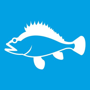 Gül balık, Sebastes norvegicus simgesi beyaz