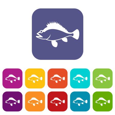 Gül balık, Sebastes norvegicus Icons set