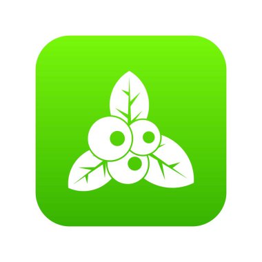 Kızılcık simgesi dijital yeşil