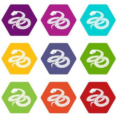 9 vektör Meksika kingsnake Icons set