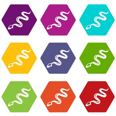 9 vektör tropikal yılan Icons set