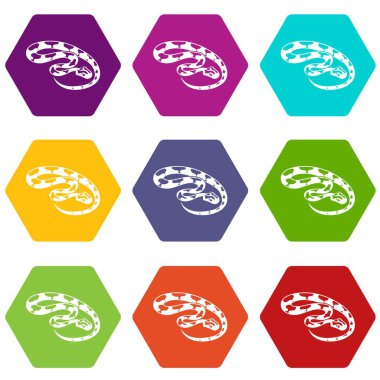 9 vektör kral yılan Icons set