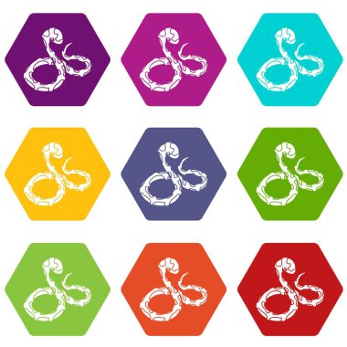 9 vektör Boa yılanı Icons set
